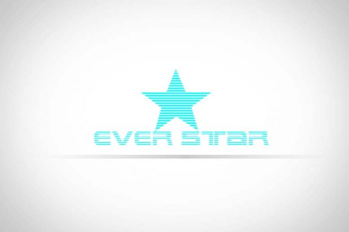 طراحی لوگو شرکت ever star