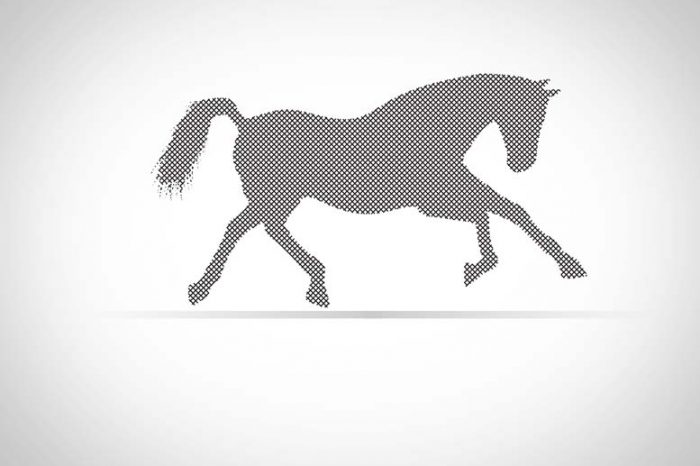 طراحی لوگو اسب